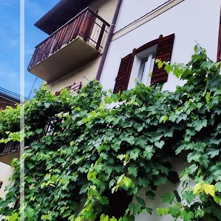 Casa Fiorita Da Carmen アパート