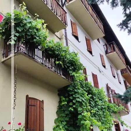 Casa Fiorita Da Carmen アウロンツォ・ディ・カドーレ